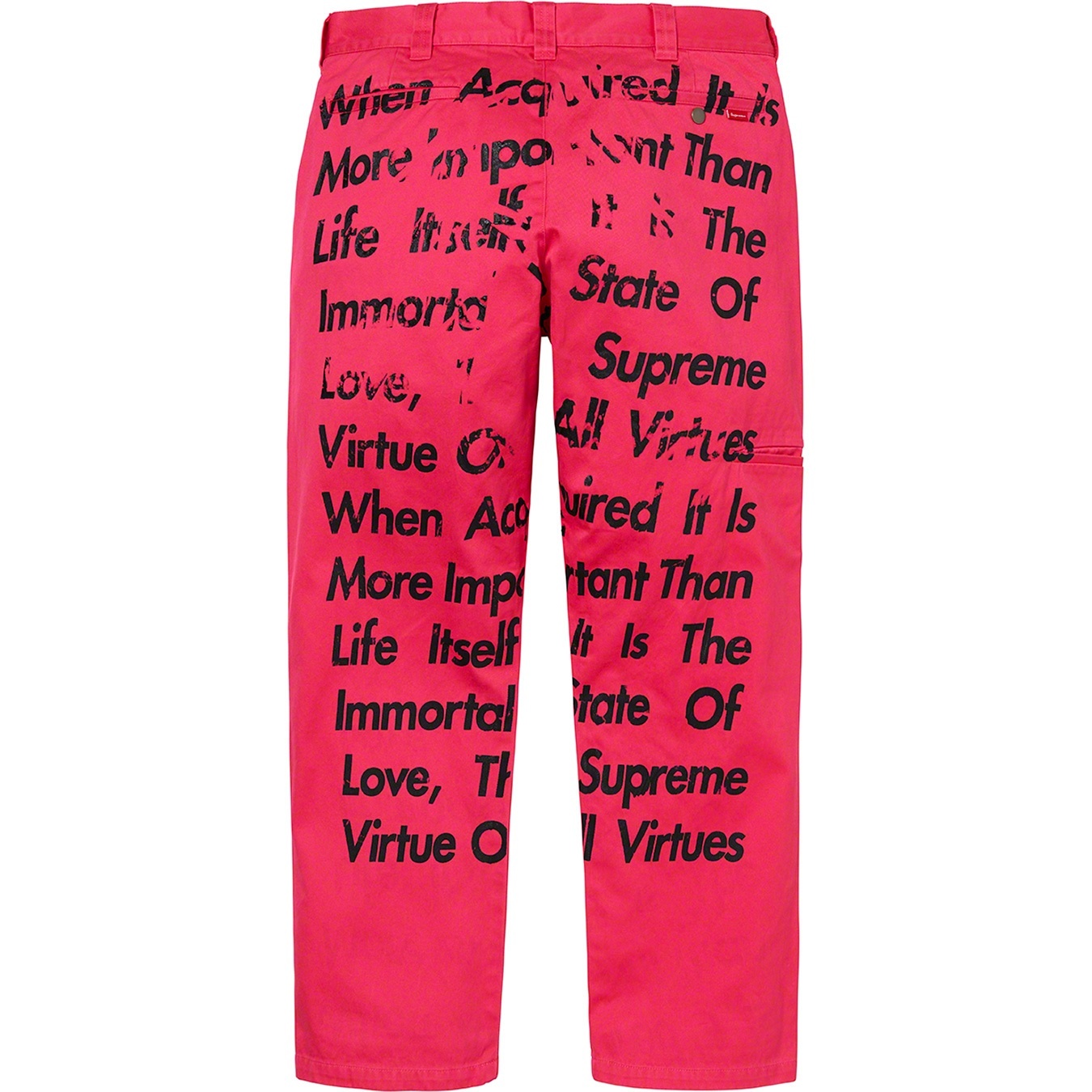 Supreme®/JUNYA WATANABE COMME des GARÇONS MAN Printed Work Pant view 13